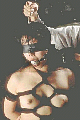 j5.jpg