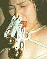 jnose.jpg