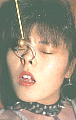 kdg03.jpg