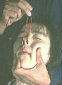 ne03.jpg